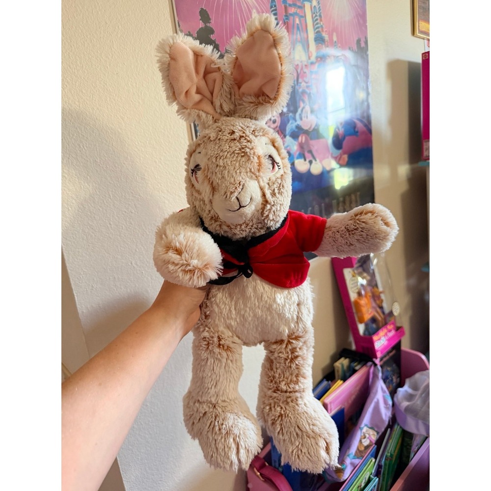2020 Peter‎ Rabbit Plush - Picture 5 of 5